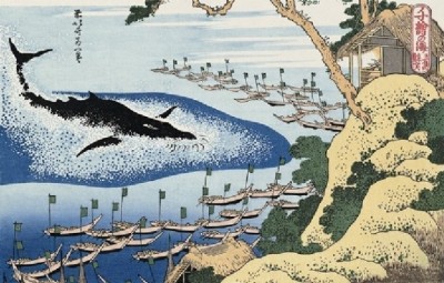 【海外の反応】日本政府が捕鯨問題で国際司法に一切応じない！宣言ｷﾀ―(ﾟ∀ﾟ)―!!