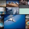 ナショジオ写真コンテストの応募作品がヤバい（画像） やっぱレベルが違いますわ(´・ω・`)…the 2015 National Geographic Photo Contest