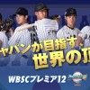 野球世界大会プレミア１２の観客数わろたｗｗｗｗｗ / 日本に負けた韓国がプレミア12に難癖「プレミア12は日本の、日本による、日本のための大会。韓国は脇役にされた」