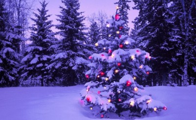 おまえらの好きなクリスマスソング挙げてけ ※音アリ※…みんなが好きなクリスマスソング・ランキングTOP20