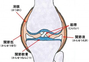 Content_Knowledge_Kenko_Knee_2