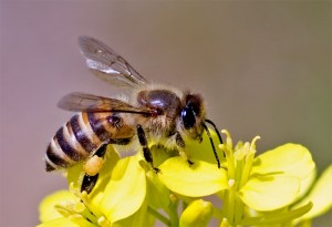 20110421143536