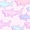 珍しいピンク色のアルビノ鮫が捕獲される＜画像＞これはキモ可愛い(￣▽￣;)