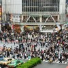 東京都の人口がこの半年間でもの凄い勢いで増加してるんだが・・・ いったい何が起きてるの(´・ω・`)