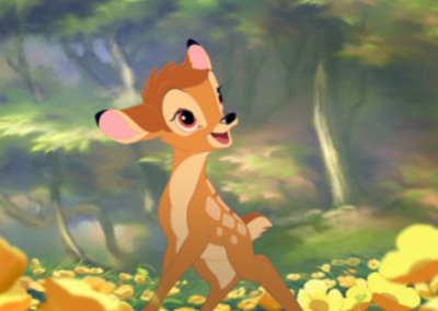 世界最小種の鹿の赤ちゃんがなんかチョット違うけど可愛い(*´∀｀*)