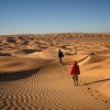 てるみくらぶ「サハラ砂漠から自力でもどれ」自力で帰国する旅行者の難易度…資産状況が明らかに
