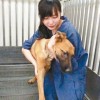 【悲しすぎる世界】700匹の犬を処分 動物を愛した保護施設女性職員の末路