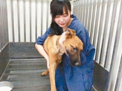 【悲しすぎる世界】700匹の犬を処分 動物を愛した保護施設女性職員の末路