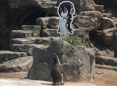 【悲報】アニメキャラのパネルに恋したペンギンさん隔離される →画像