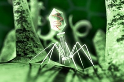 【分子生物学】生物と非生物の境界、ウイルスとは何か