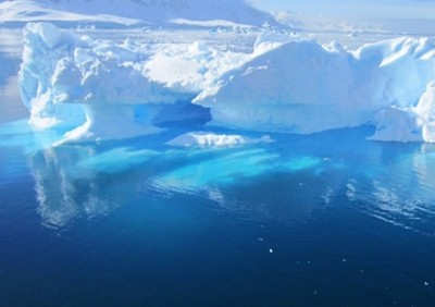 【画像】南極で新発見された生物が完全に地球外生命