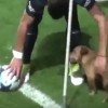 【無邪気】ドリブルで魅せた『イヌ』にサッカー試合後のインタビュー動画