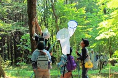 【体験談】クワガタとワイに起こった不思議な出来事
