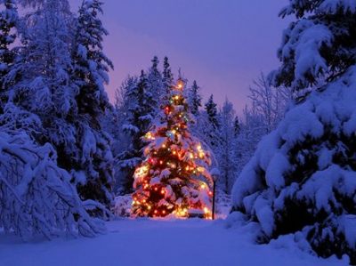 【韓国起源】クリスマスツリーは韓国から渡って行った【ウリジナル】