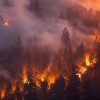 【カリフォルニア大火災】巨大な炎の渦は「火災竜巻」だった？