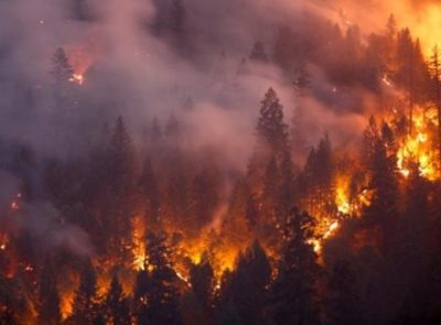 【カリフォルニア大火災】巨大な炎の渦は「火災竜巻」だった？