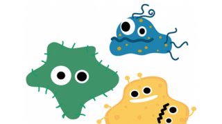 【注目】大阪・堺で発見された『細菌』が世界の救世主になる可能性