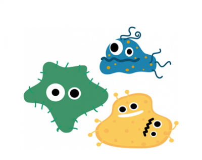 【注目】大阪・堺で発見された『細菌』が世界の救世主になる可能性