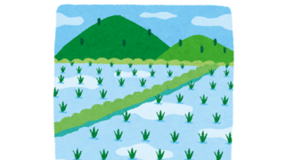 【画像】雨あがりの『水田』が異次元の美しさに 鳥取に「ウユニ塩湖」があった！？　