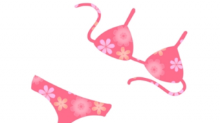 【画像】同じ水着を着た女子 こうも違うか…