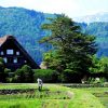 【1人旅】日本の原風景の写真