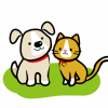 【閲覧注意】猫さん、犬の群れに襲われ無残な姿に…