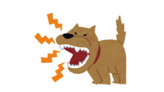 【求む！】犬の喧嘩を止めようとしたオジさんが高速回転する動画ください！