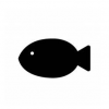 【画像】光を99.5％吸収する『世界一黒い魚』がこちら ⇒