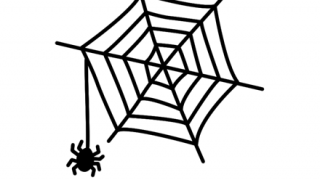 【動画】蜘蛛の巣作り、ガチでヤバいｗｗｗｗｗｗ