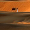 【動画】「これが砂漠の危険な流砂です。では飛び込んでみましょう。」