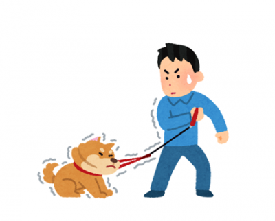 【散歩中】「これ動物虐待ですよね？」犬を強引に引きずる飼い主さんの動画