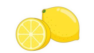 【悲報】異形のレモン、誕生【→画像】