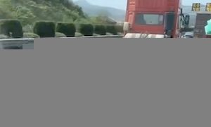 【動画】高速道路を走る低床トレーラーの荷台にワンちゃん！？
