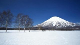 【超衝撃】北海道のニセコ、とんでもない事実が判明する！！！！！