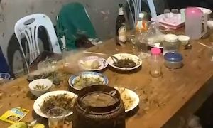 【動画】テラスで優雅な夕食にしようとした家族の大失敗（ノ∇`）