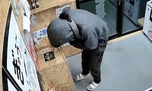 【動画】埼玉の無人販売所から現金を盗もうとした男が逮捕される瞬間。