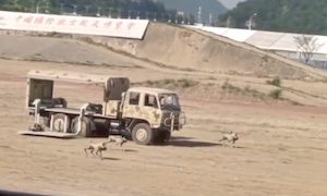 【動画】武装ロボット犬を展開する中国の軍用トラック。珠海航展2024。