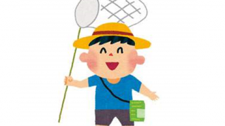 【お前ら的名言】『天才とは、蝶を追っていつの間にか山頂に登っている少年である』