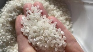 【戦慄】ベトナム人が売ってた『お米』、恐ろしい事実が判明してしまう・・・・・