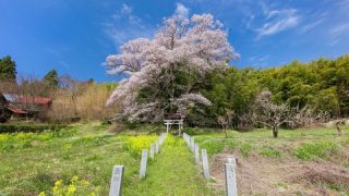 【速報】福島県で『異常事態』が発生してしまう・・・・