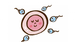 【科学】精子さん、機械によって無理やり受精させられる【→】