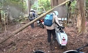 【動画】千葉で行われた原付限定のラリーが楽しそう(*°∀°)=3