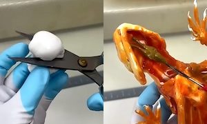 【動画】中身キモすぎ。異常にリアルなトカゲのお菓子を作る工程がｗｗｗ