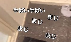 【絶望】風呂掃除中に水を止め忘れて部屋が水没ｗｗｗｗｗｗ