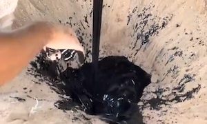 【動画】ディーゼルオイルを直接地球に戻す砂漠の人たち。