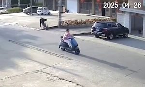 【動画】無理な追い越しをした車に30歳女性の命が奪われた事故。