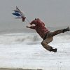 【動画像】強風に立ち向かうイッヌ なんのイッヌかわからなくなるｗｗｗ