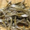 【衝撃】にぼしの栄養がヤバすぎるｗｗｗｗ