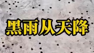 【衝撃】中国にて『黒い雨』が降る。なんだこれは・・・😲