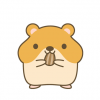 【悲報】なんJ民さん、ハムスターと騙されドブネズミを購入してしまう【→画像】
